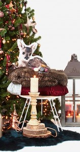 Ga voor warme en luxe kerstversiering van Bol.com